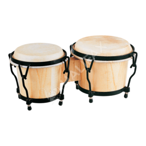 Bongo Medium Size